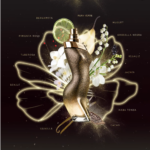 Perfume Dance Midnight Shakira para Mujer 80Ml 3.fw